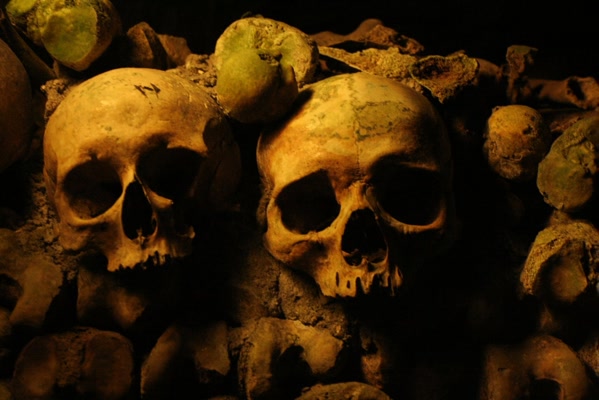 Skulls in the Catacombs.